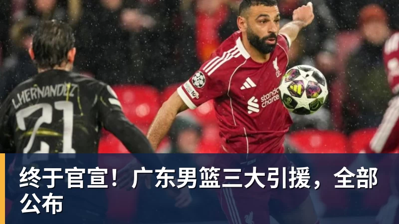 终于官宣！广东男篮三大引援，全部公布